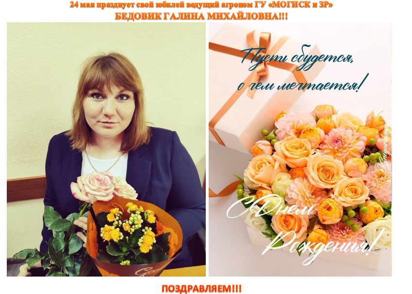 Бедовик3