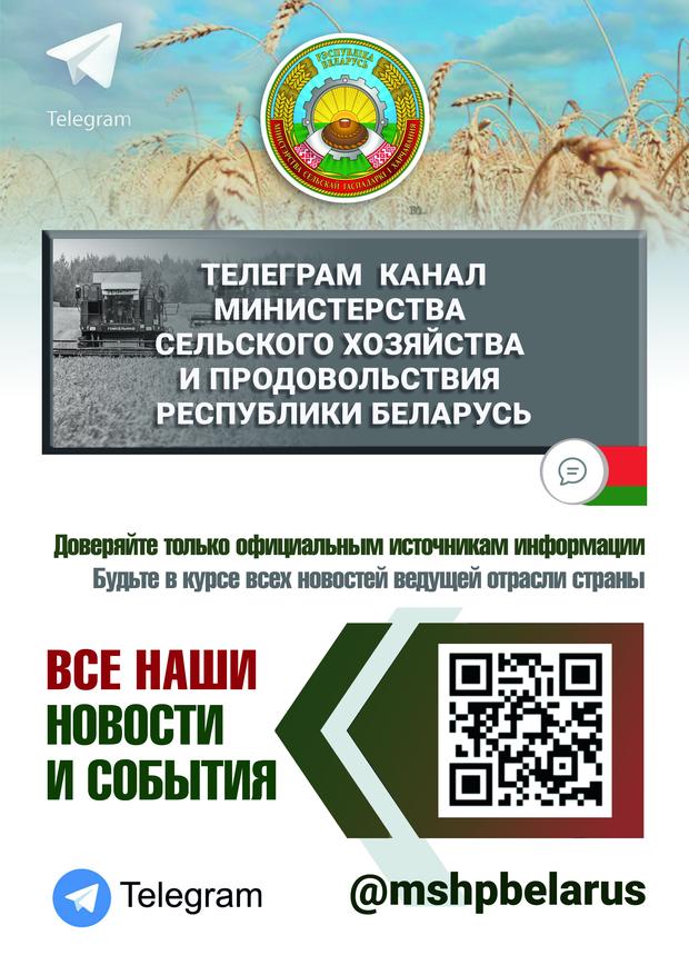 Плакат 1